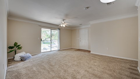 Plush Carpeting at Cleburne Terrace, Cleburne, 76033